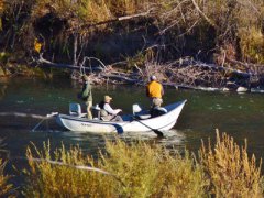 Urban Fly Fishing Missoula Montana