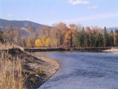 Bitterroot River - Montana