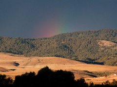 Rainbow - Montana