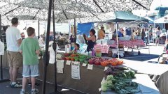 Farmers Market