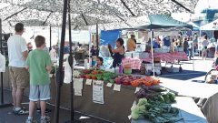 Farmers Market